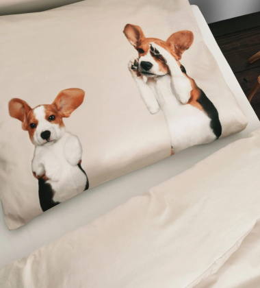 Pościel bawełniana w pieski beagle 140x200 BEAGLE FRIENDS Duvet Cover