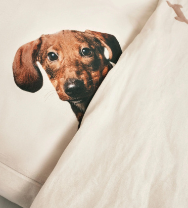 Pościel bawełniana z jamnikiem 140x200 DACHSCHUND FRIENDS Duvet Cover