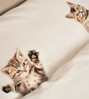 Pościel bawełniana z kotkami 140x200 KITTEN FRIENDS Duvet Cover